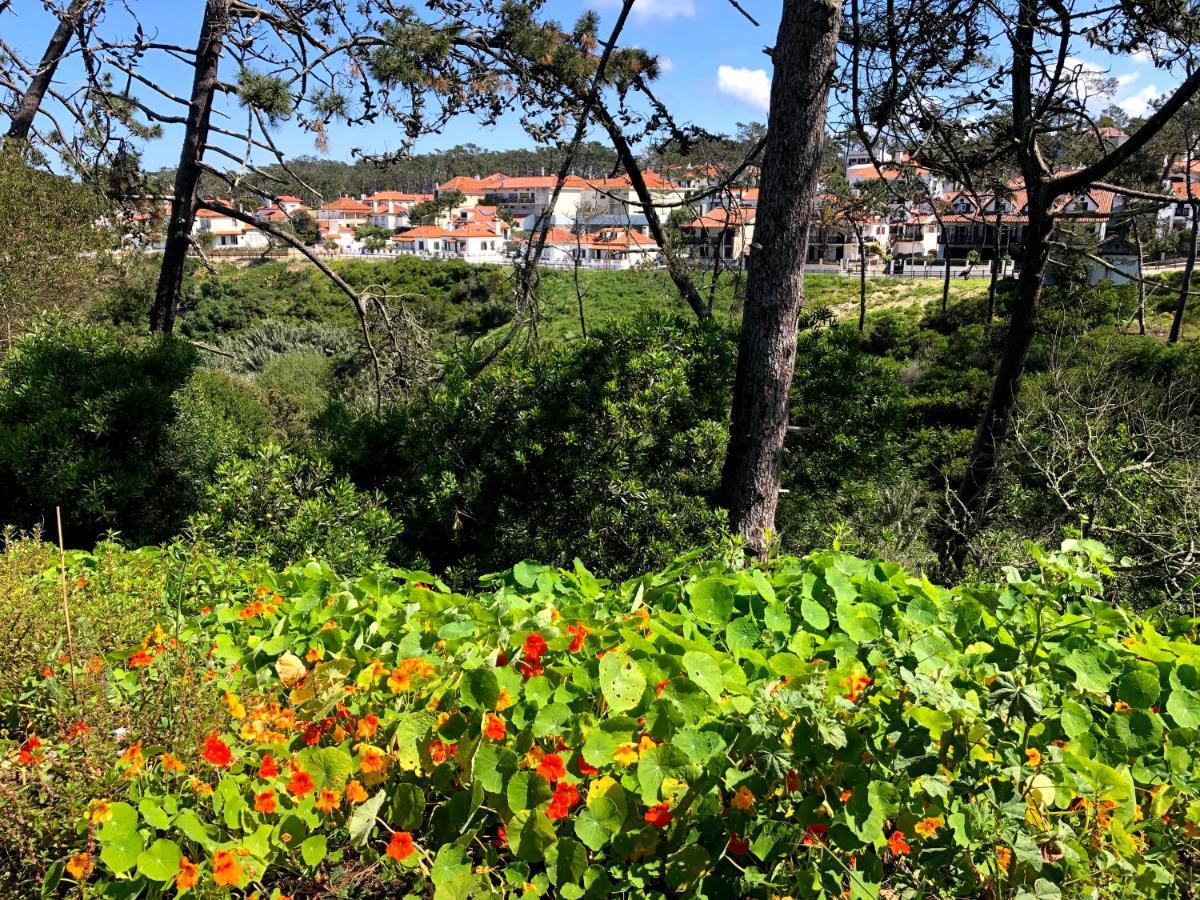 Starfish Beach House São Pedro de Muel Esterno foto